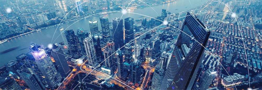 ネットワーク設計・構築・運用保守事業